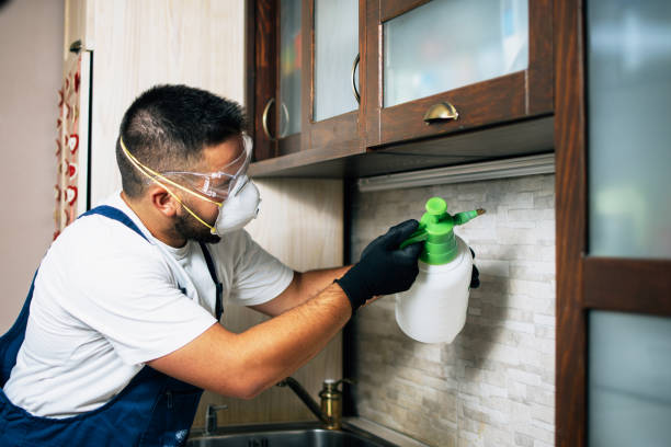 Best Pest Control Near Me  in Elkhorn City, KY