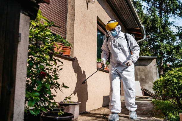 Best Affordable Pest Control Services  in Elkhorn City, KY