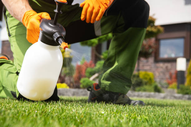 Best Pest Control Treatment  in Elkhorn City, KY