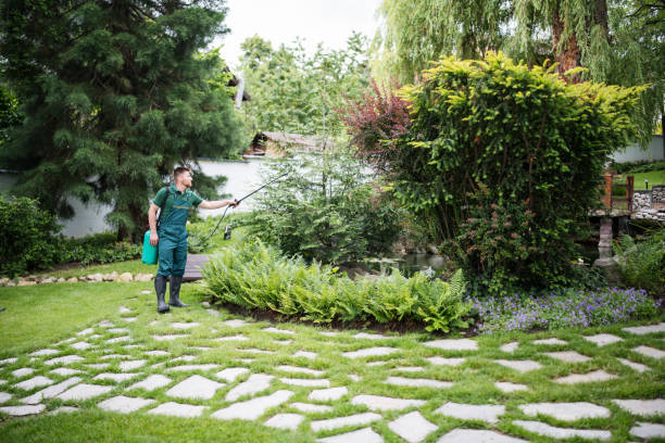 Best Best Pest Control Companies  in Elkhorn City, KY