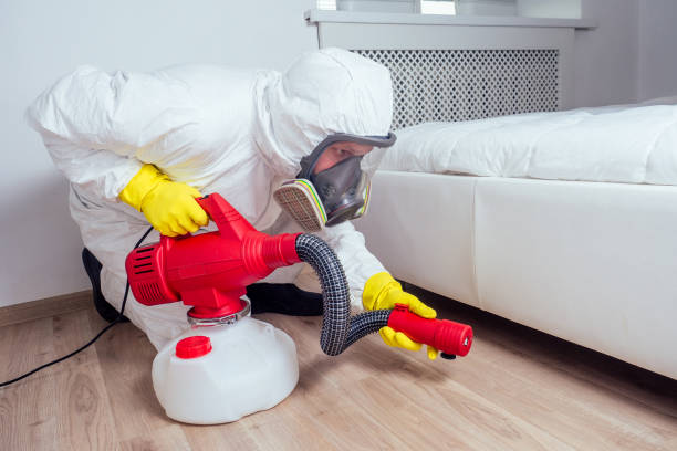 Best Best Pest Control Companies  in Elkhorn City, KY