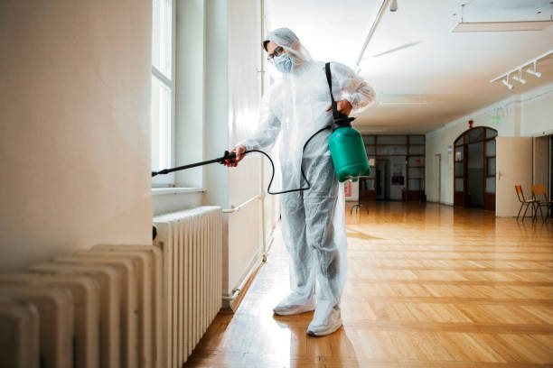 Best Affordable Pest Control Services  in Elkhorn City, KY